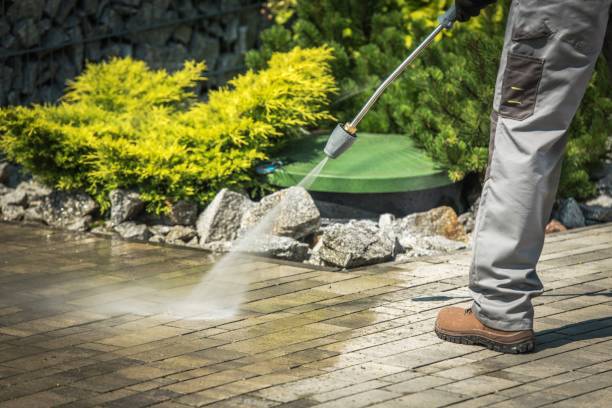 Best Sidewalk and Walkway Cleaning  in Live Oak, TX