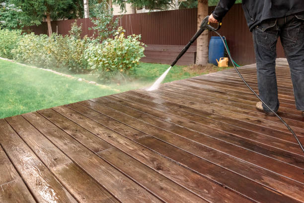 Best Solar Panel Cleaning  in Live Oak, TX